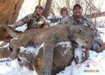 <p>New Mexico mountain lion hunting clients with H&A Outfitters Inc.</p>