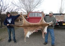 <p>New Mexico mountain lion hunting clients with H&A Outfitters Inc.</p>