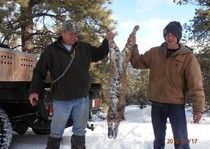 <p>New Mexico mountain lion hunting clients with H&A Outfitters Inc.</p>