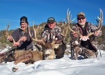 <p>H&A Outfitters, Inc. is a fully licensed, insured full-time mule deer hunting outfitter based out of Santa Fe, New Mexico, specializing in professional, fully guided mule deer hunts since 1992 in many prime areas of New Mexico.</p>