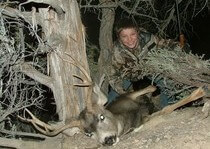 <p>H&A Outfitters, Inc. is a fully licensed, insured full-time mule deer hunting outfitter based out of Santa Fe, New Mexico, specializing in professional, fully guided mule deer hunts since 1992 in many prime areas of New Mexico.</p>